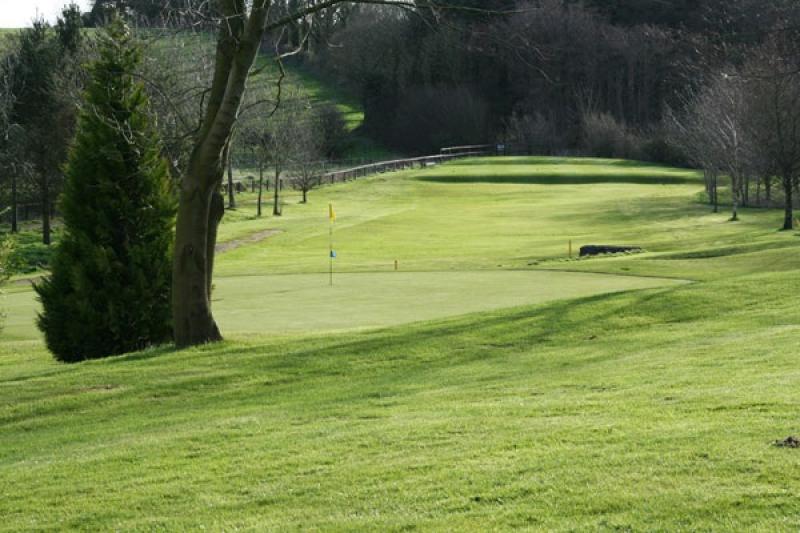 All your Golf news from around Laois
