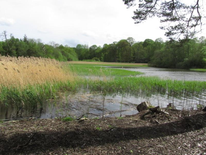 Emo Court lake in Laois is running low on water and is 'an eyesore' 