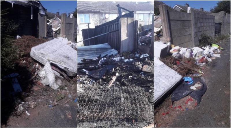 'Exceptional case' of illegal dumping is 'serious health risk' for residents in two Portlaoise estates