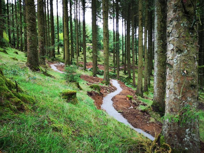 The first new section of the Slieve Bloom Bike Trails
