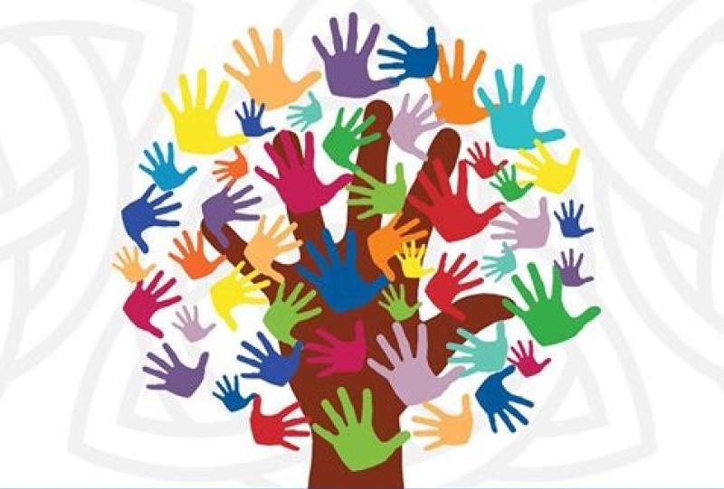 Laois seminar on cultural integration and  diversity