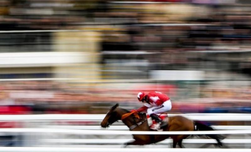 Cheltenham Tips ryanair