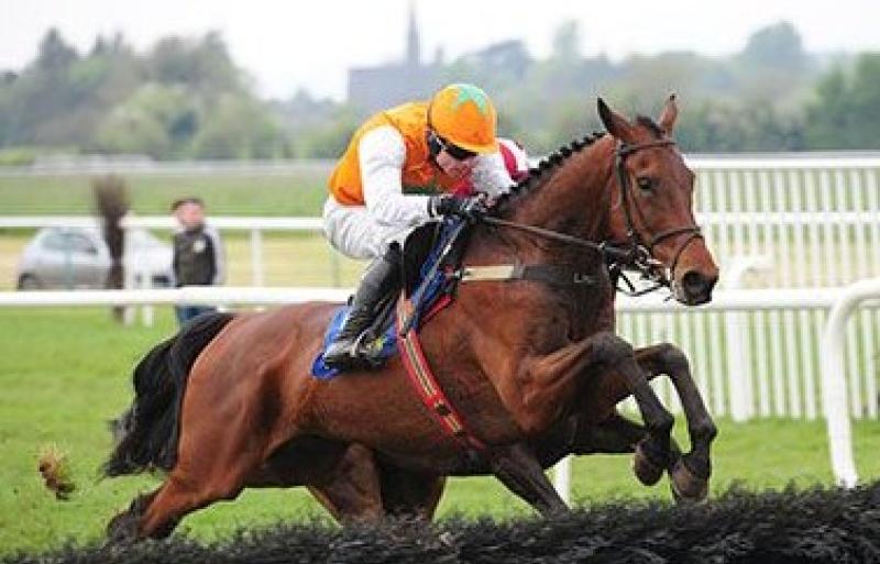The Offaly horse that could just win the Irish Grand National