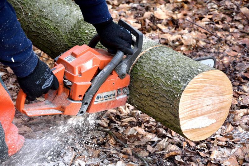 TREE FELLING