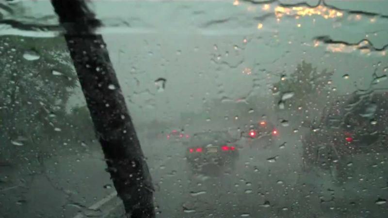 STORM DRIVING STORM BRIAN