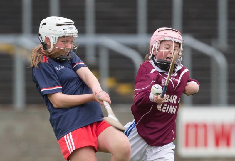 Laois GAA update on the Laois Cumann na mBunscol schools competitions
