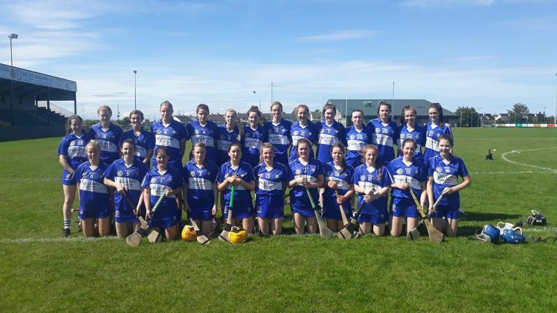 Revealed: Laois drawn in tough group in Camogie championship