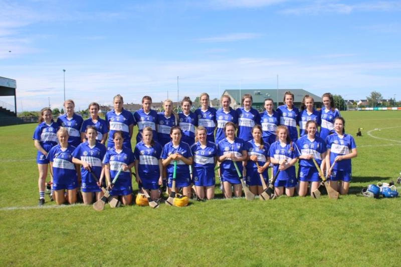 Laois turn in gutsy second-half display to overcome Wexford