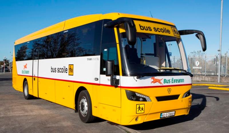 back to school School bus 
