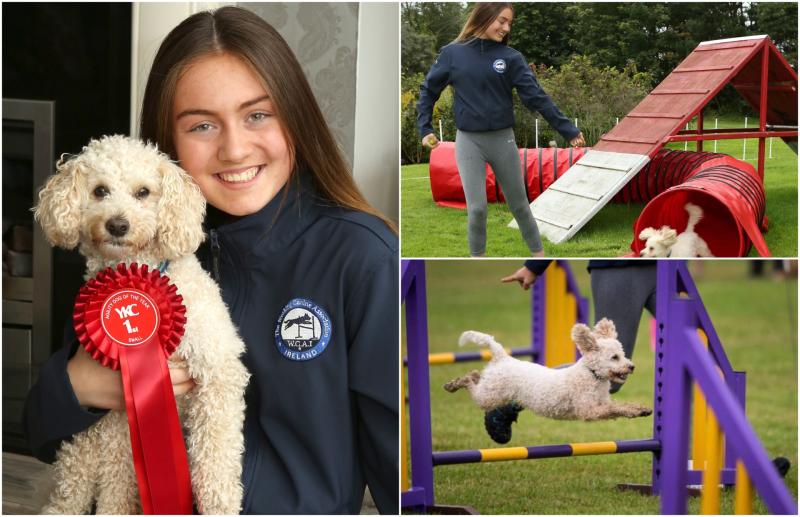 Laois girl and her poodle pooch Georgie qualify for major Crufts 2020 competition