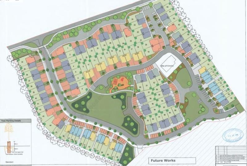 New housing estate proposed in 'a swamp' in Laois Offaly town