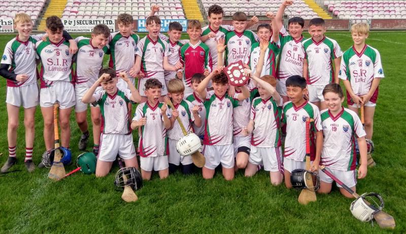 gaa hurling portarlington