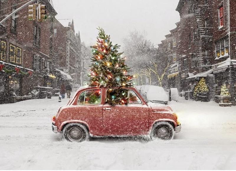Christmas tree recycling service for Dundalk residents 