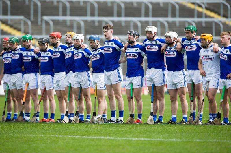 Laois hurling team to take on Dublin in Walsh Cup named