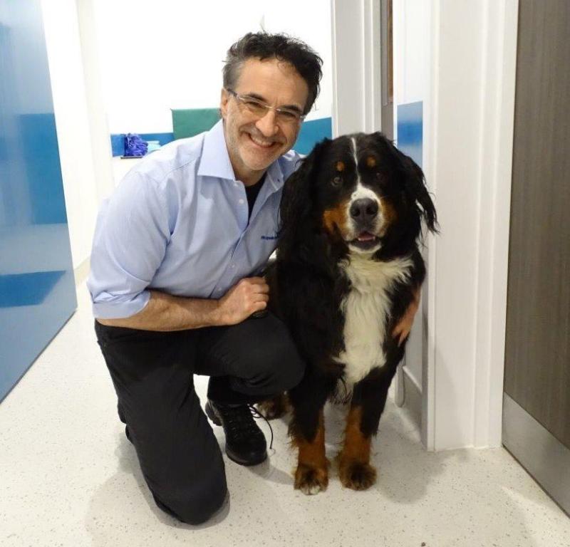Supervet noel fitzpatrick channel 4 dog
