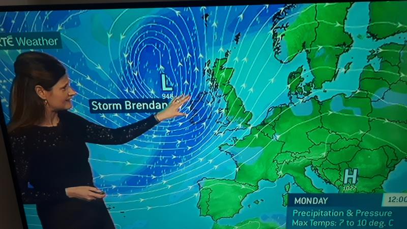 Huge tree down on major Offaly road as a result of Storm Brendan