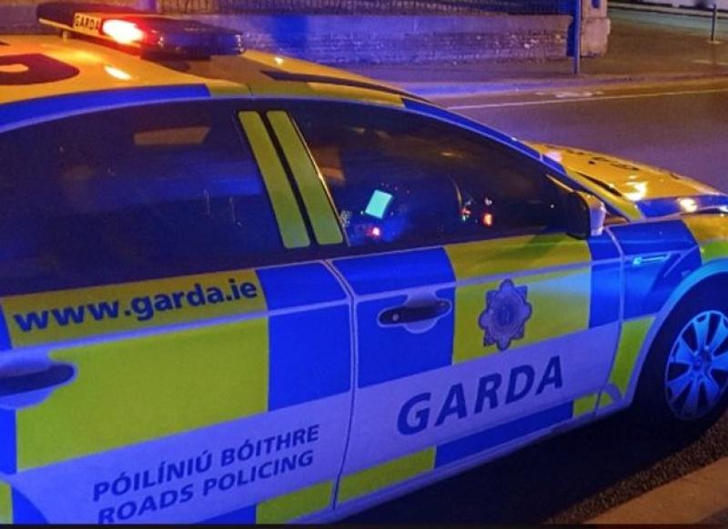 REPORT: Human remains find linked to Louth teen's disappearance