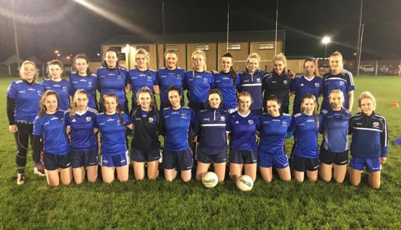Laois Ladies hold out for draw against Wicklow