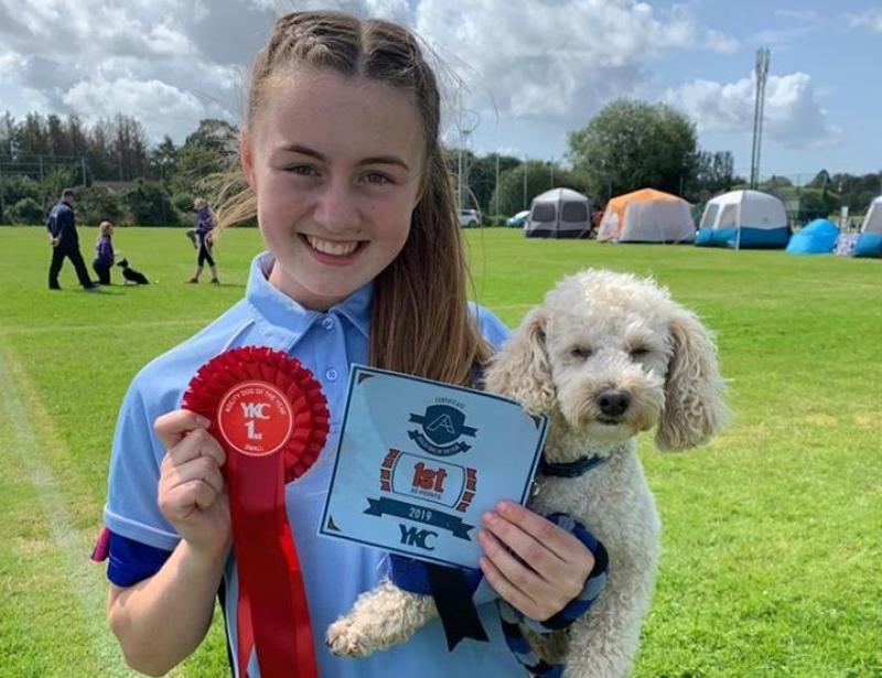Champion Laois dog Georgie to compete in Crufts