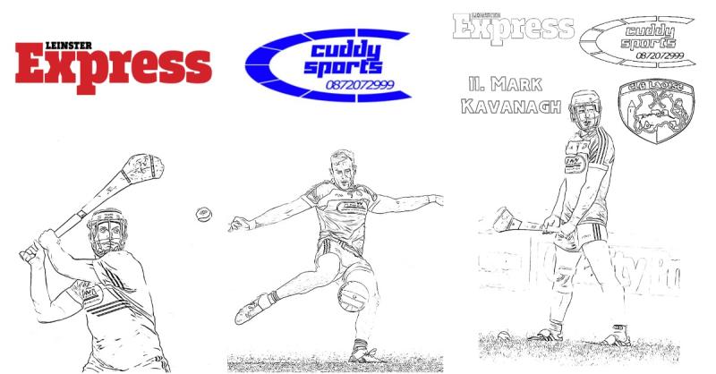 Free downloadable Laois GAA colouring pages 
