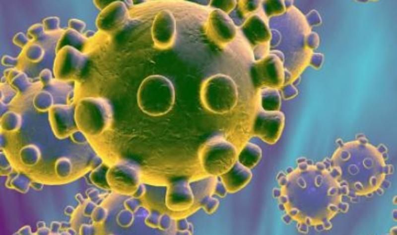coronavirus covid-19