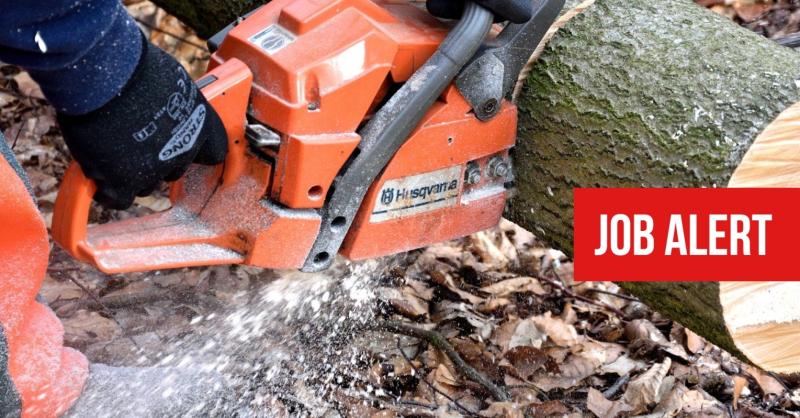 JOBS: Experienced timber cutter required in the Laois-Offaly area 