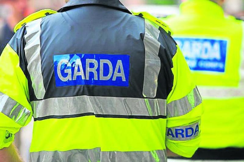 Gardaí make huge €200k drugs haul after search of car and house 