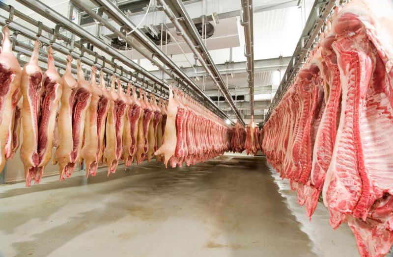 Government 'must support' new meat factory in Offaly - TD