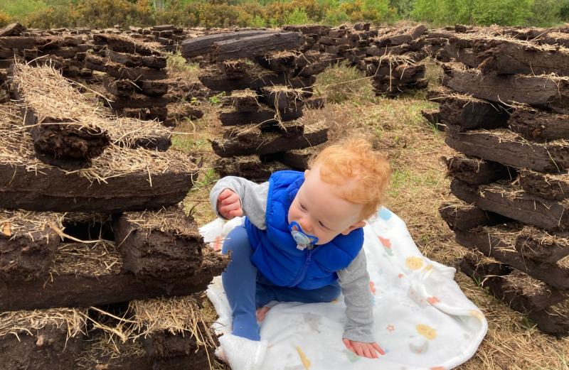 Laois turf cutters 'enhance environment' says Fine Gael councillor