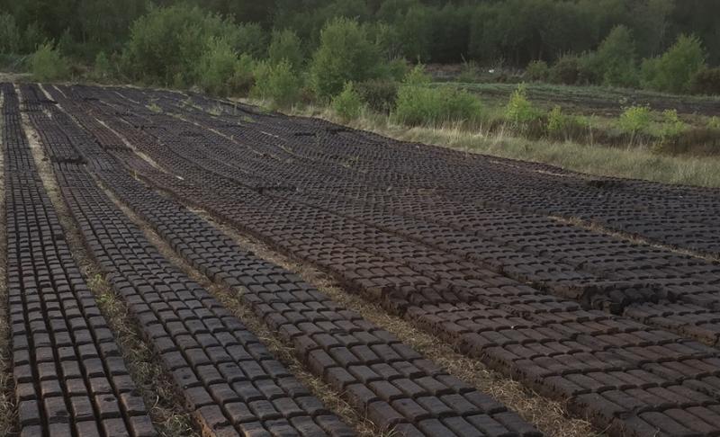 Calls for Bord na Mona to withdraw 'turf cutting prohibition'
