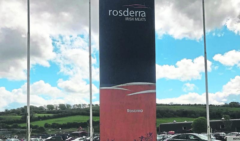 China bans all imports from Roscrea Bacon Factory due to Covid-19