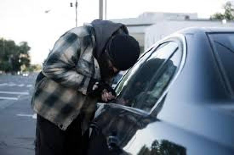 Car stolen and burned out in Donegal woods