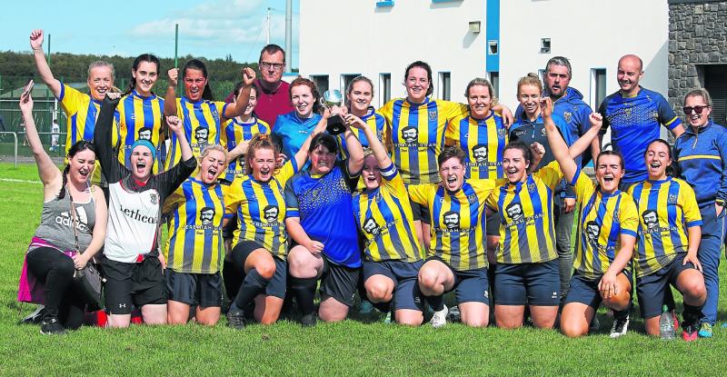 Mountmellick strike late to land Shield title
