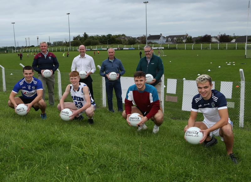 Local Portarlington TD picks local teams to contest the Laois SFC final