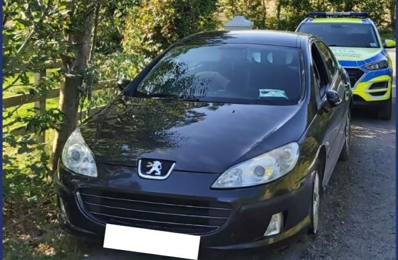 Stinger and helicopter used after 'multiple' incidents involving driver on busy Laois road