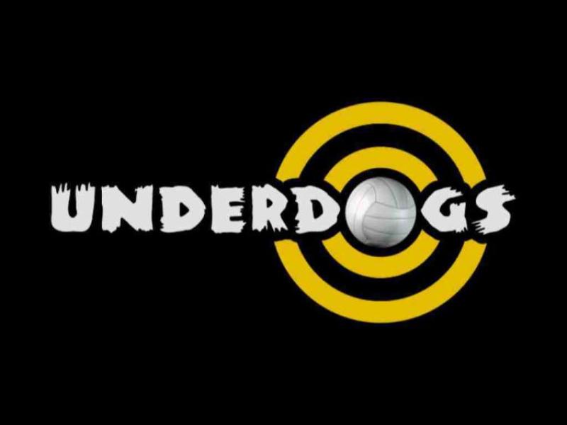 Calling all GAA players! TG4's Underdogs series is back with a twist and searching for players