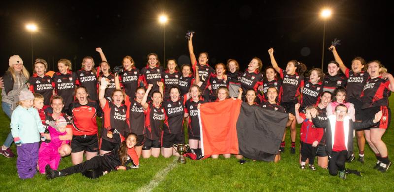 REPORT: Griffen leads Shanahoe to Intermediate glory