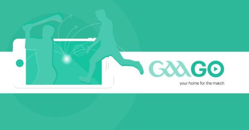 Watch Laois hurlers and footballers live from the comfort of your couch this weekend