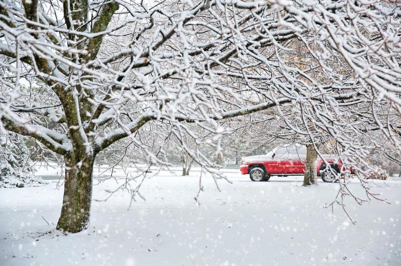 Will there be a white Christmas? Odds shorten on snow for Christmas Day