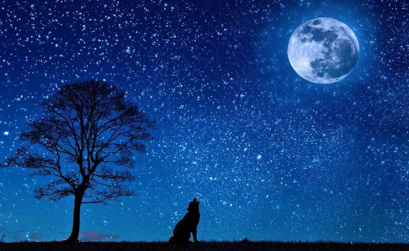 Rare blue moon over Laois this Halloween - and astronomy Ireland would love to see your photos
