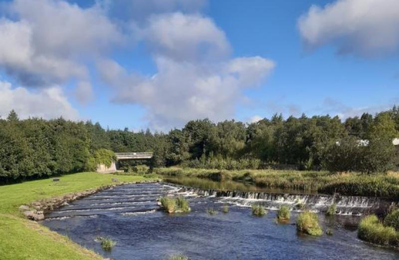 Campaign underway in to reveal a 'hidden gem' in the heart of Laois