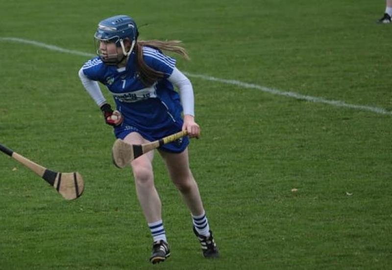 Make or break for Laois Camogie in quarter final clash with Kerry