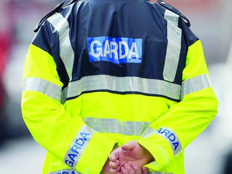 Do you know their owners? Gardaí seize dogs from men in the South East 