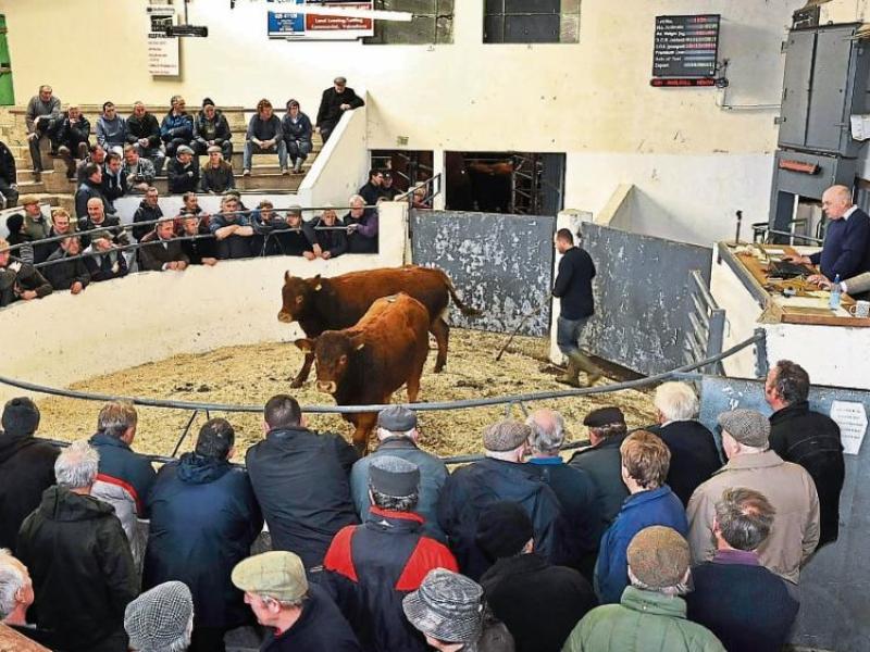 Mart closures will be 'inevitable consequence' if trade remains online 