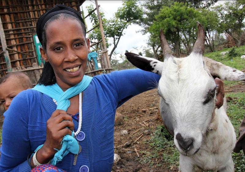 Laois shoppers! Why not give a 'virtual' life-changing gift this Christmas 