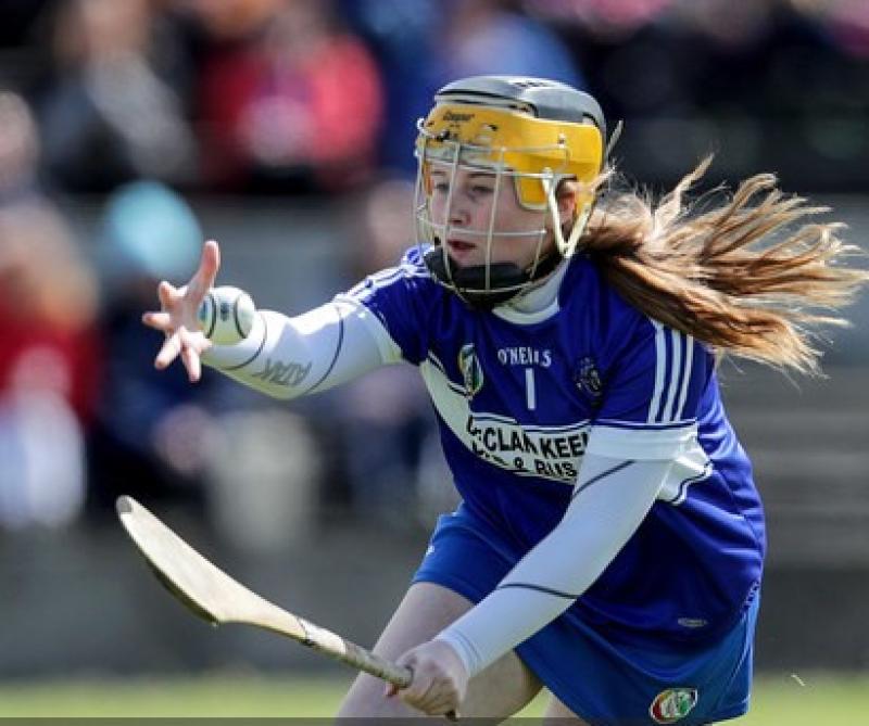 Kilkenny too strong for Laois in Camogie league opener