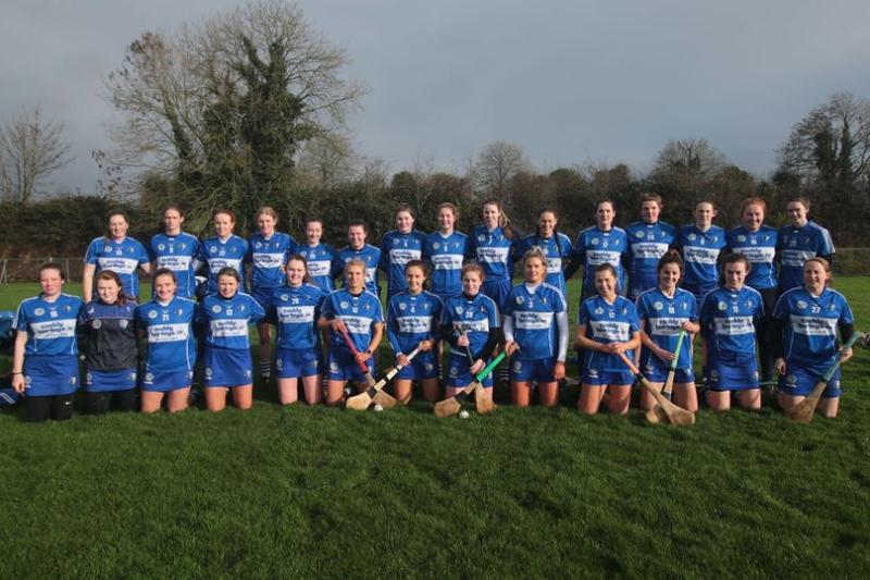 Laois Camogie just 60 minutes away from All Ireland final