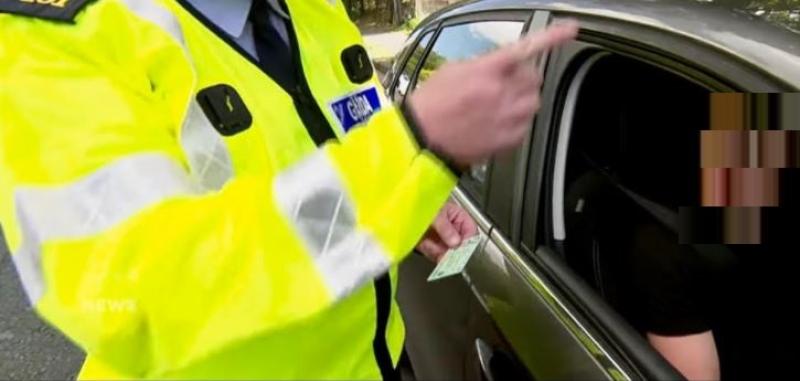 Driver crashed into roundabout in front of garda&iacute;