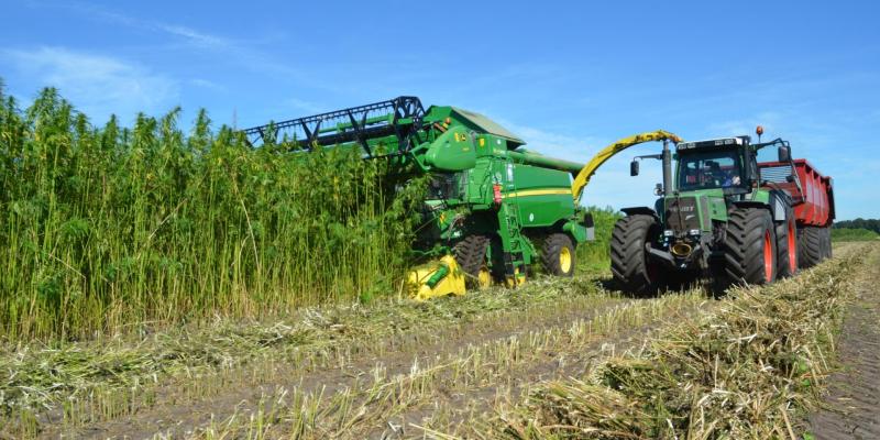 Laois Offaly politicians lobbied to help with Cannabis hemp growing licence in Laois