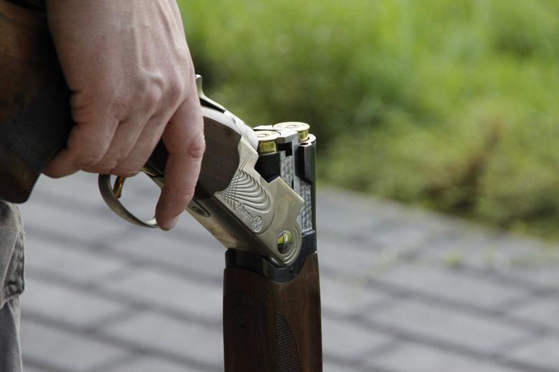 EU ban on use of lead ammunition in wetland areas a 'breakthrough for wildlife' in Ireland 